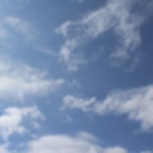 Meet your Posher, Jennie